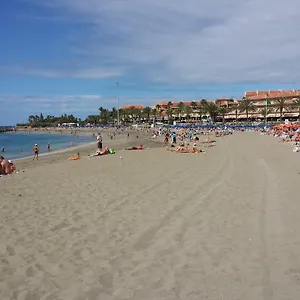 Apartmento Cactus Ii , Los Cristianos (Tenerife) Spain