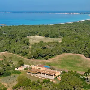 Ses Arenes , Colonia de Sant Jordi Spain